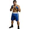 FIGHT-FIT - Boxing Shorts / Boxhosen / Blau-Weiss / Small