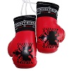 FIGHT-FIT - Mini Boxing Gloves / Bosnia