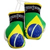 FIGHT-FIT - Mini Boxing Gloves / Brasil