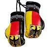 FIGHT-FIT - Mini Boxing Gloves / Germany