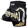 FIGHTERS - Muay Thai Shorts / Schwarz-Gold