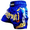FIGHTERS - Muay Thai Shorts / Blau-Gold / Large
