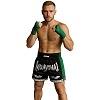 FIGHTERS - Thaibox Shorts / Elite Muay Thai / Schwarz-Grün