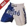 FIGHT-FIT - Muay Thai Shorts / Weiss-Blau