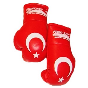 FIGHT-FIT - Mini Boxhandschuhe / Türkei