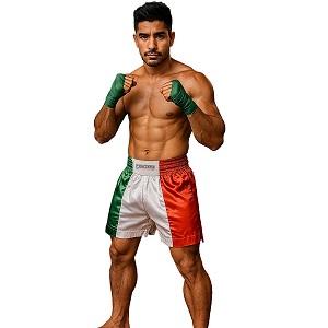 FIGHT-FIT - Muay Thai Shorts / Italien / Tri Colore / Large