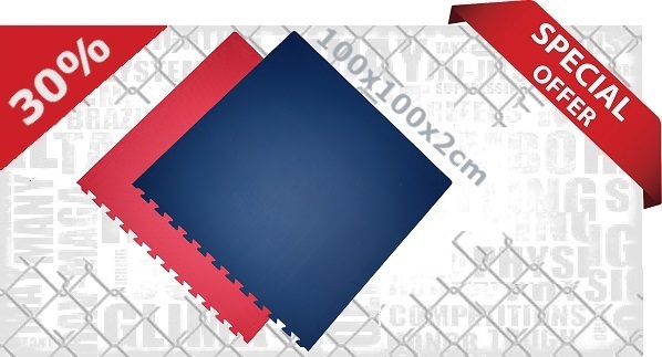 Steckmatten / 100 x 100 x 2.0 cm / Blau-Rot