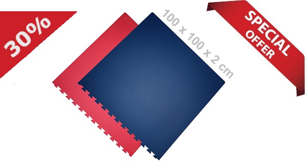 Steckmatten / 100 x 100 x 2.0 cm / Blau-Rot