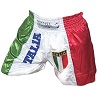 FIGHTERS - Thai Shorts - Italien 